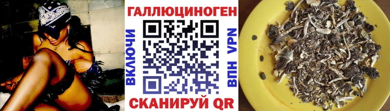 Галлюциногенные грибы MAGIC MUSHROOMS  Псков 